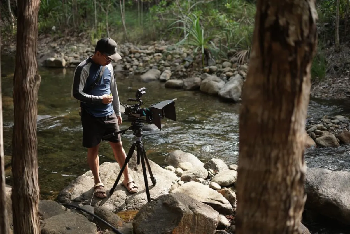 film streaming